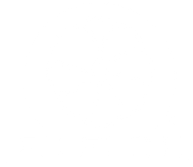 FC Elite Academy